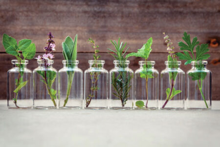 Herbal Remedies for Joint Pain Image